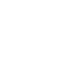 BT logo - in white