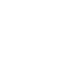 Ballymena Bid