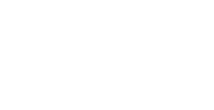 Blackfox Solutions logo - white