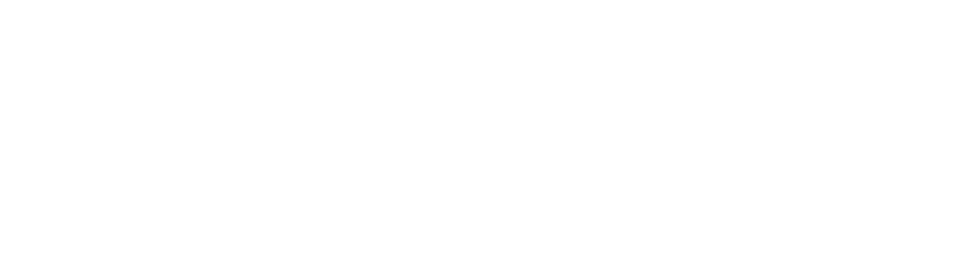 Carey Cleaning Machines logo - white